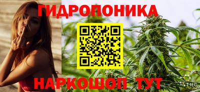стаф Краснокаменск