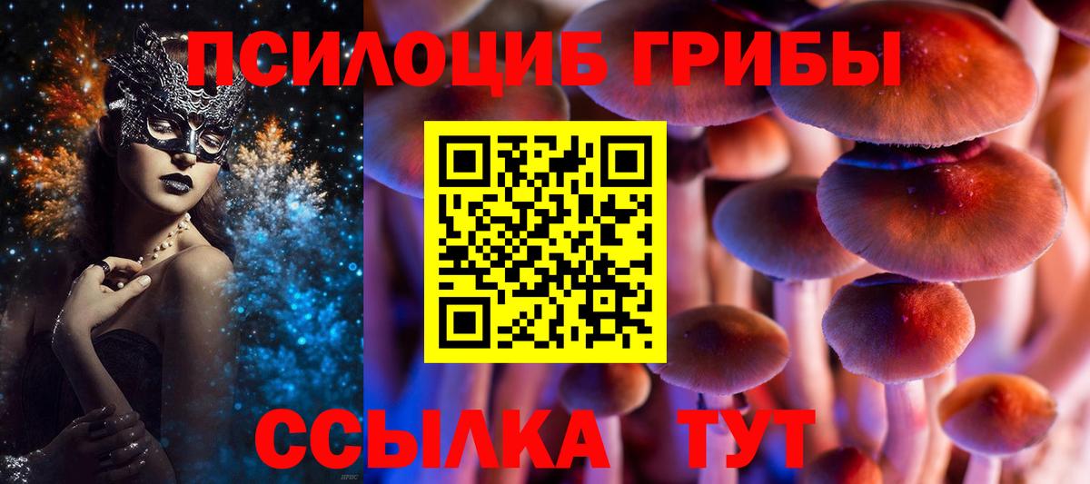 Галлюциногенные грибы MAGIC MUSHROOMS  Вход с VPN  Жигулёвск 