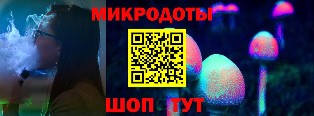 Псилоцибиновые грибы Cubensis Жигулёвск